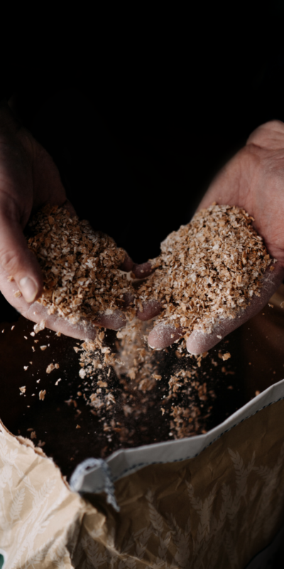 Ingrediënten van Fourchette Bier - geplette mout